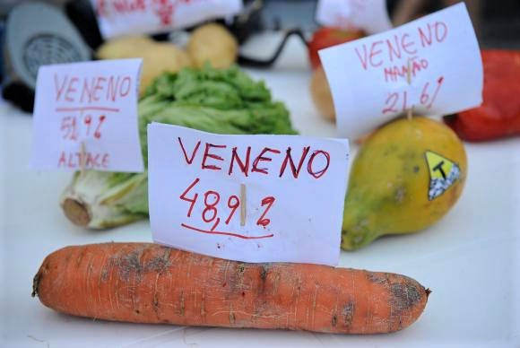 Quatro transnacionais passarão a dominar 65% das vendas de agrotóxicos e pesticidas e cerca de 60% das comercializações de sementes no mundo / Fernando Frazão/Agência Brasil