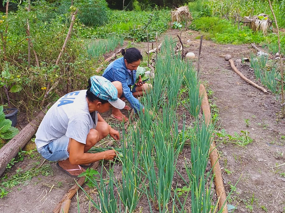 Mulheres produzem de forma agroecológica: ao mesmo tempo em que produzem alimentos saudáveis, se preocupam com seus direitos e com a natureza.