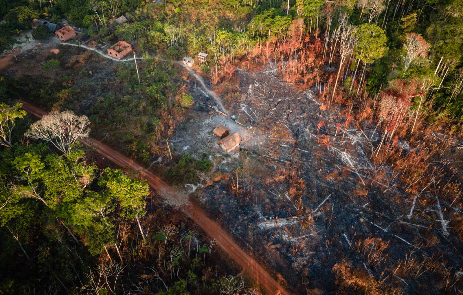 Fonte: Cícero Pedrosa / Amazônia Real