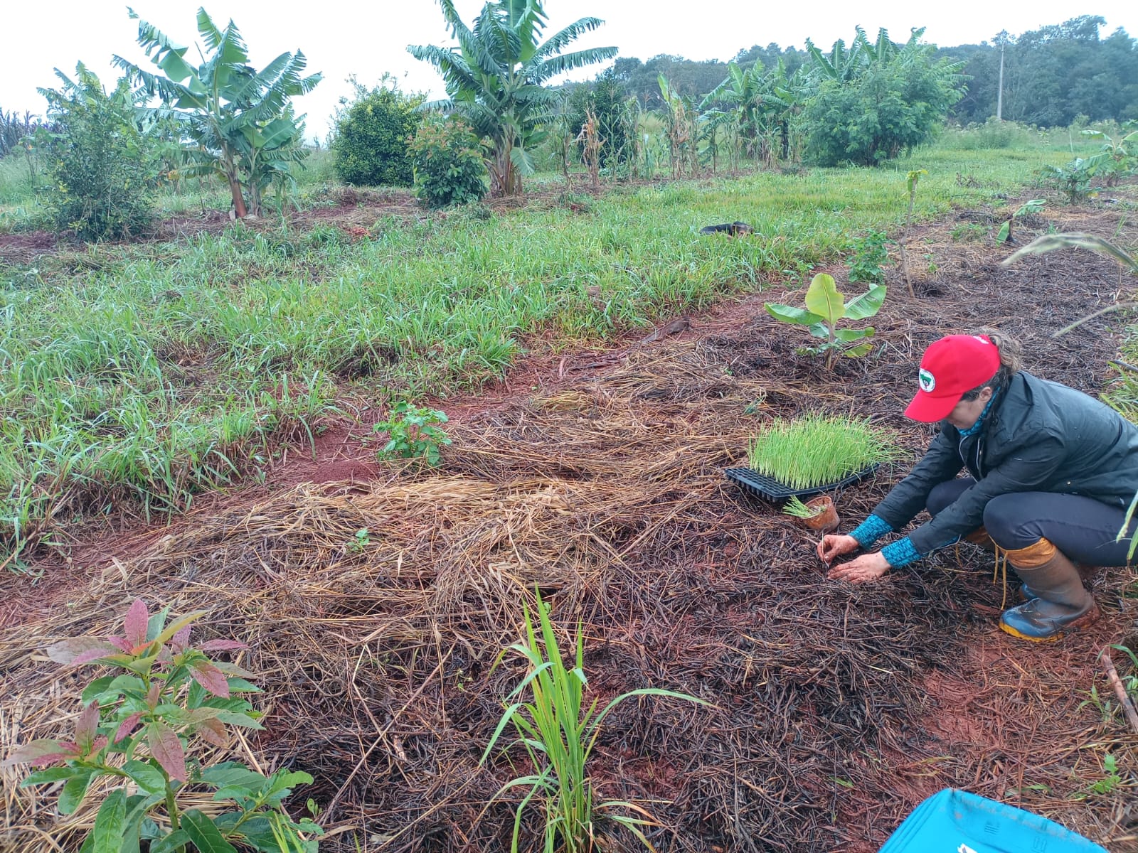 Carla Dalepiane, agricultora e moradora do assentamento Novo Paraíso, em Boa Ventura de São Roque. Foto: Arquivo MST