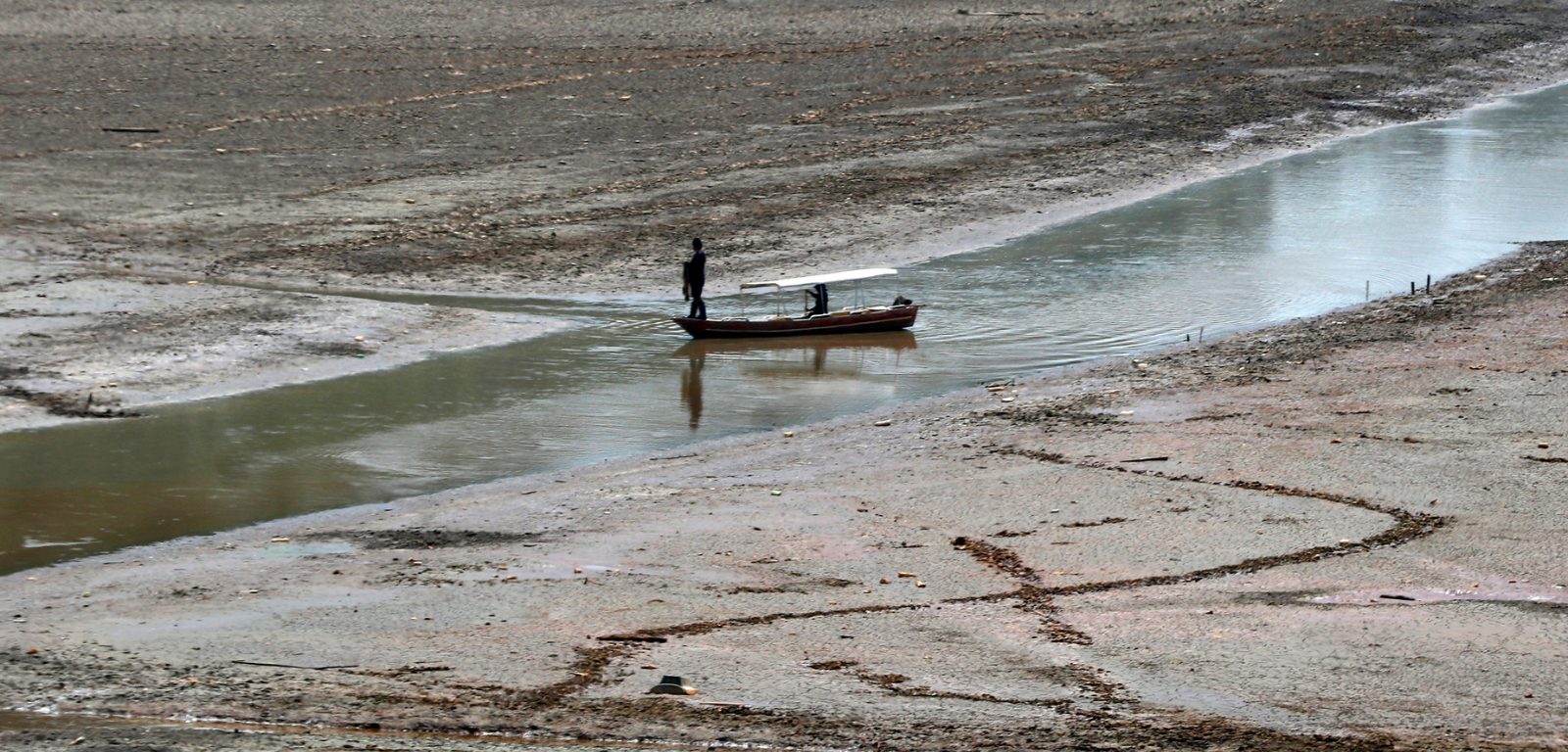 Foto: Ricardo Oliveira/CENARIUM)