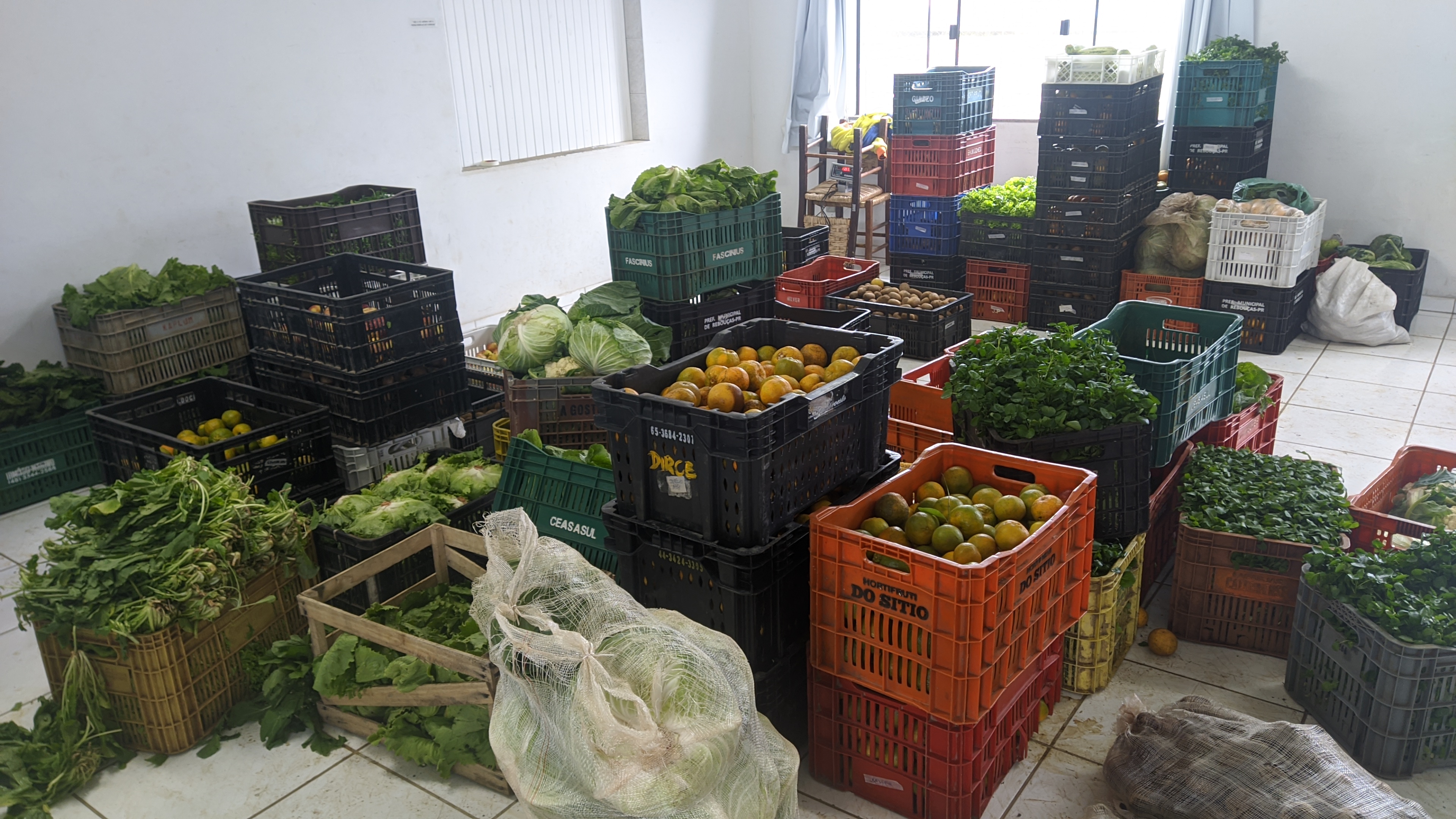 Mesmo com muitas dificuldades os agricultores tem buscado retomar a produção de alimentos para Programas. Foto: Arquivo dos agricultores