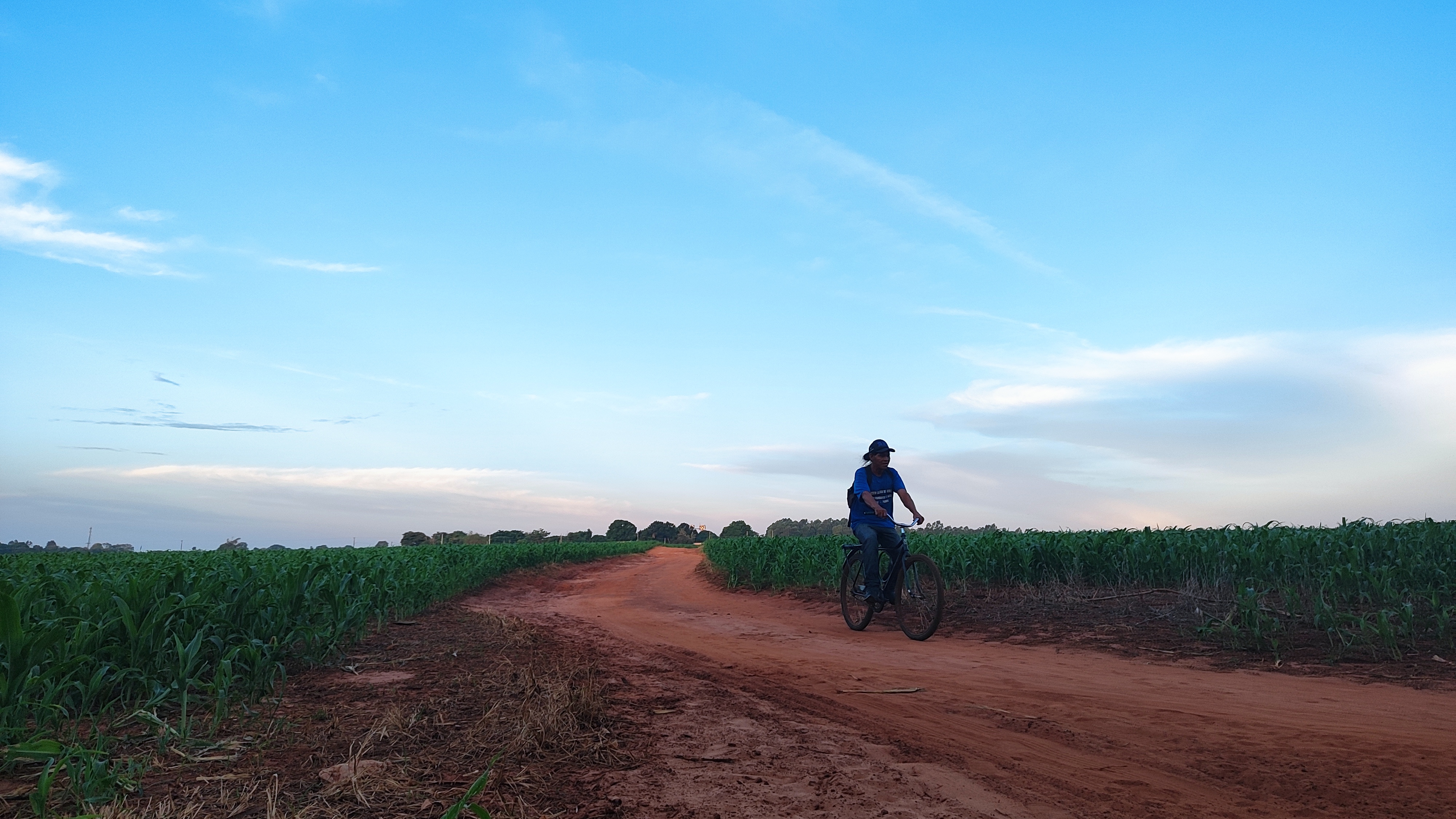 Povos Avá-Guarani, do Oeste do Paraná, convivem com contaminação do território por veneno. Na foto indígena precisa passar por monocultura para acesso ao território. Foto: Lizely Borges
