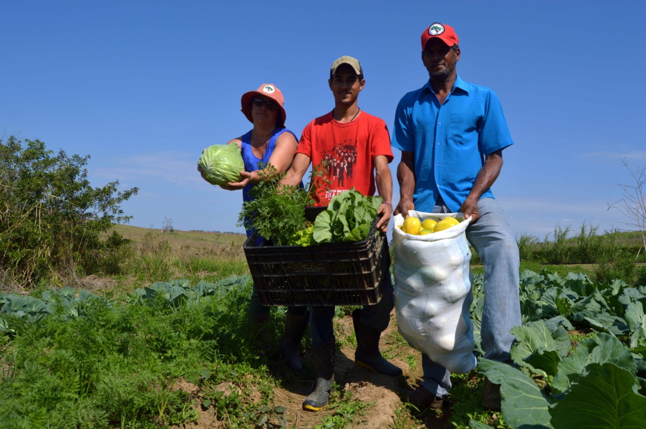 Cerca de 70% dos alimentos que chegam à da população são produzidos pela agricultura familiar. Foto: Igor de Nadai