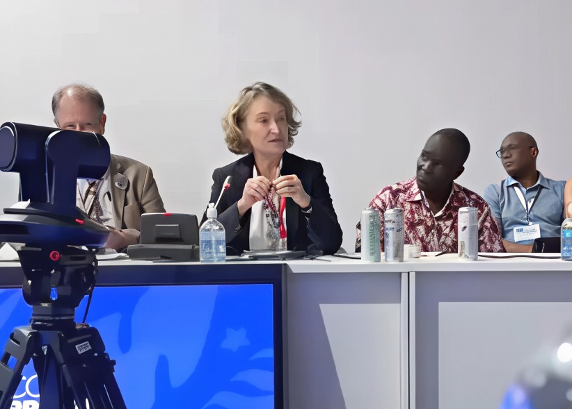 Foto: Ilze Brandes Kehris, subsecretaria geral de direitos humanos da ONU (Terra de Direitos)