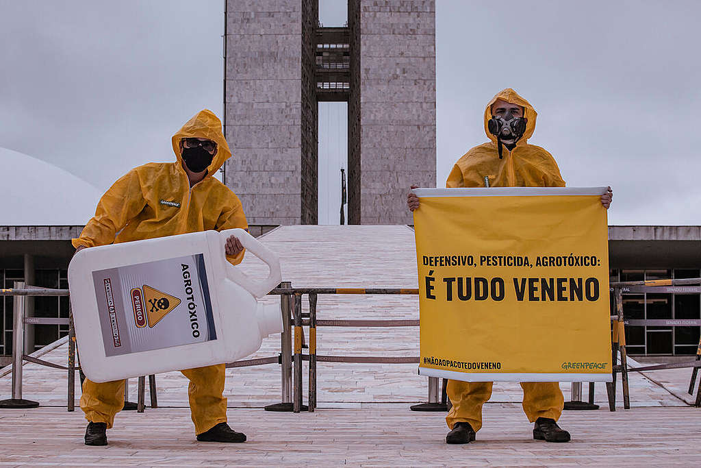Bancada ruralista atuou intensamente para aprovação do 'Pacote do Veneno' pelo Congresso Nacional. Foto: Greenpeace