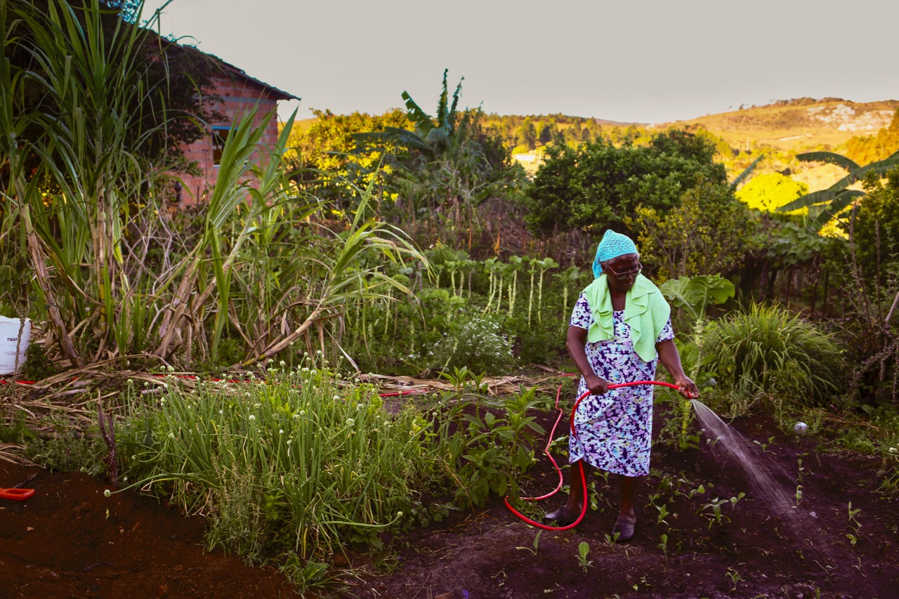 Trabalho coletivo das mulheres quilombolas garante que haja alimentos para famílias do Quilombo de Raíz.