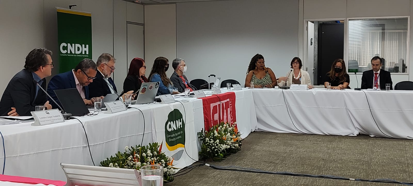 Resolução foi aprovada com 12 votos favoráveis de conselheiras e conselheiros / Foto: Wagner Chaves