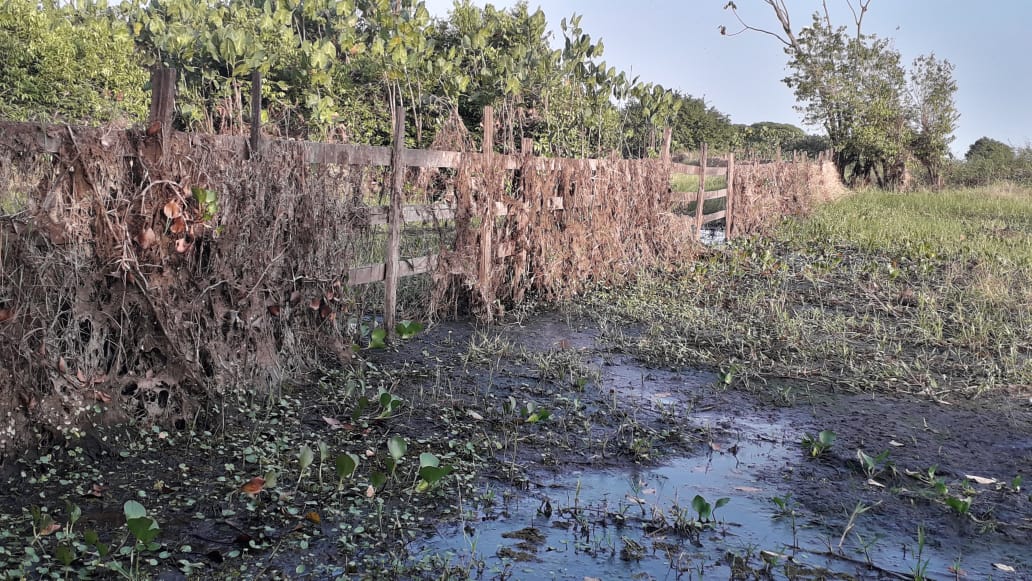 A cerca colocada por fazendeiros obstruía a passagem da comunidade ao lago e prejudicava as atividades de pesca, lazer e criação de animais (Foto: Eliane Oliveira - arquivo pessoal)