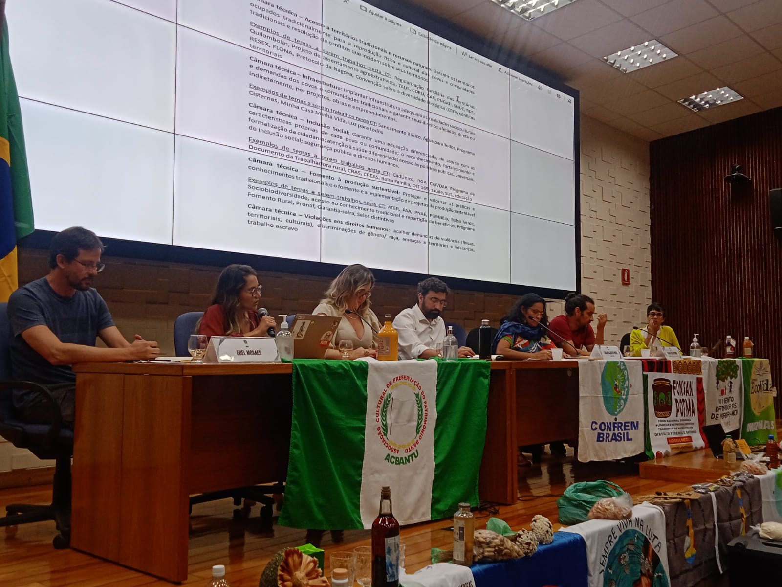 A assessora jurídica da Terra de Direitos, Jaqueline Andrade, destacou a necessidade de previsão orçamentária para a politica para povos tradicionais. Foto: Alessandra Jacobovski