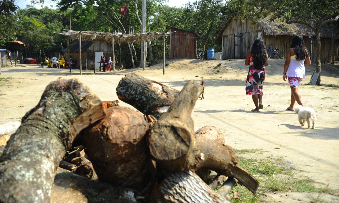 Organizações, povos e comunidades tradicionais reivindicam que as casas legislativas aprovem, com urgência, um plano emergencial sobre a Covid-19. Foto: Agência Brasil