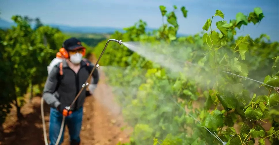 Estima-se que os cofres públicos deixaram de arrecadar R$10 bilhões com isenção fiscal de agrotóxicos. Foto: web