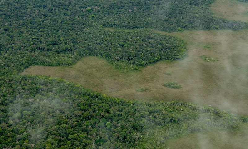 Foto: Conexão Planeta