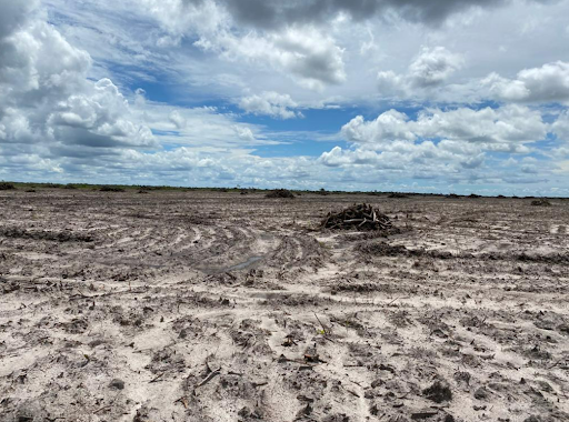 Área desmatada pelo agronegócio em Buriti (MA). (Foto: Diogo Cabral)