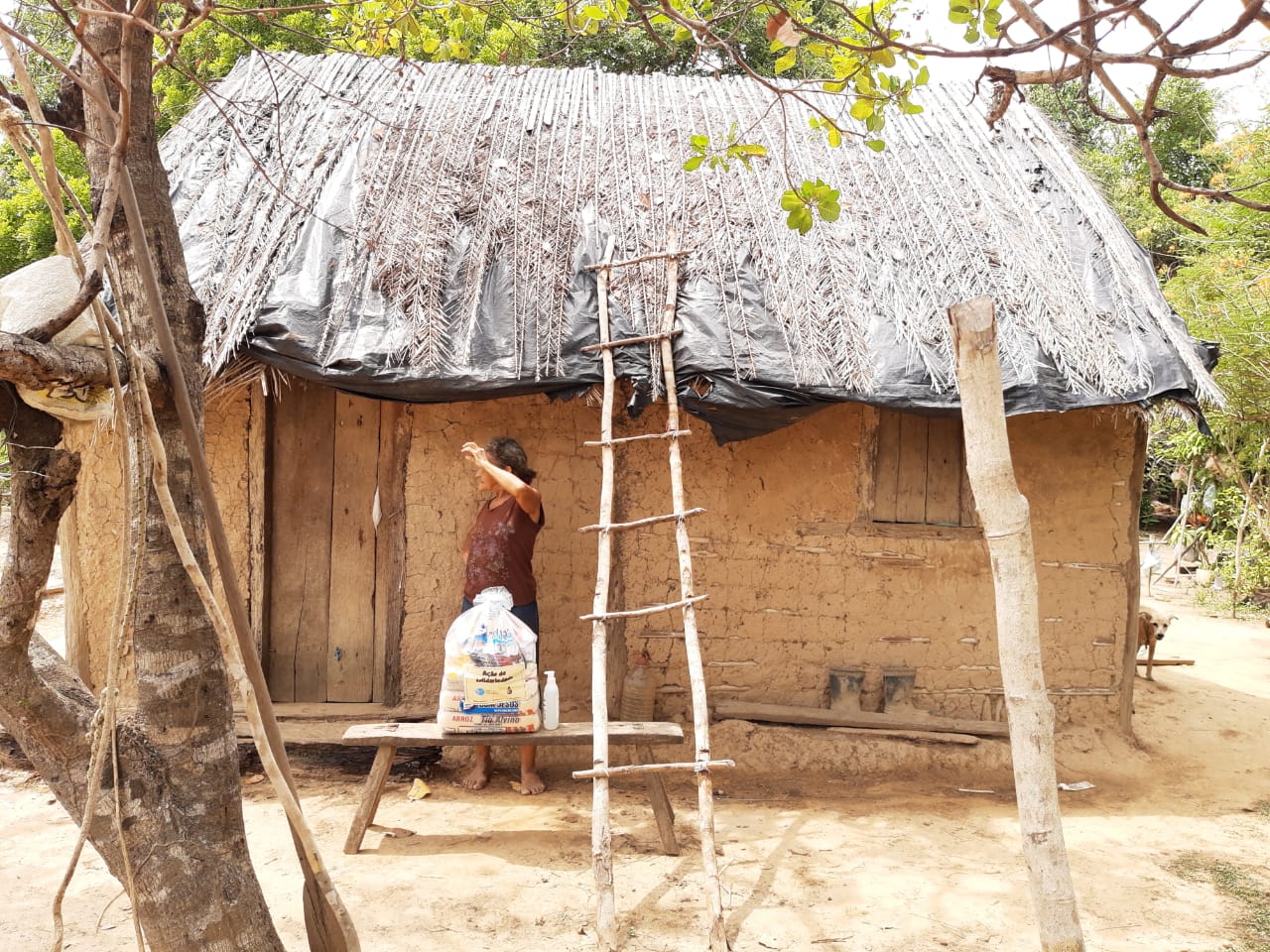 Além das queimadas, a Covid e o agronegócio ameaçam os territórios tradicionais. Foto: Edinalda Pereira do Nascimento