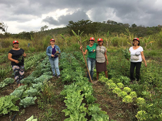 Cerca de 2 mil trabalhadores produzem uma diversidade de alimentos para revenda e consumo.. Foto: Douglas Mansur