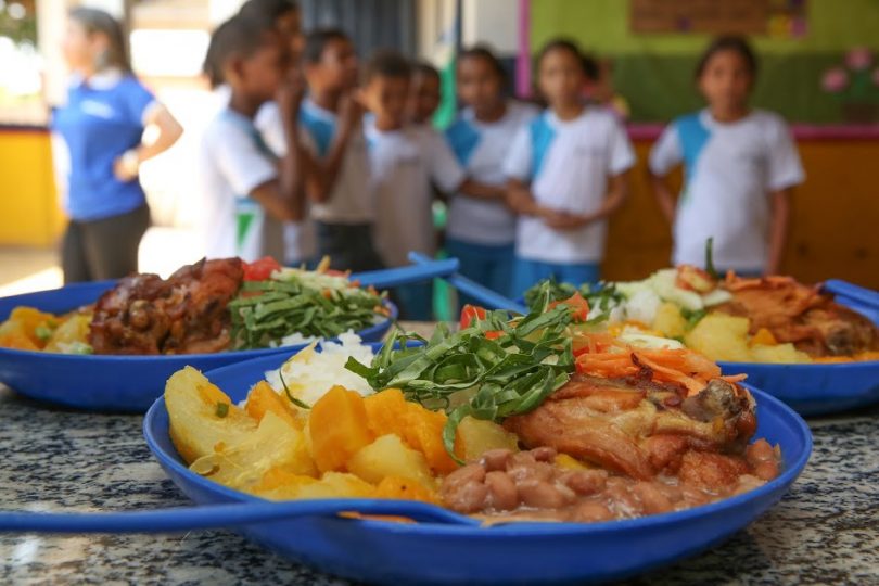 O texto é resultado da construção do Grupo de trabalho, colegiado composto por representantes do poder público, agricultores e sociedade civil. Foto: Divulgação