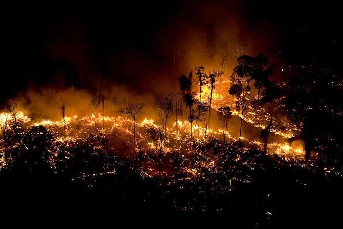 Estudo revela que 75% da emissão de gás carbônico,  um dos gases responsáveis pelo aumento do efeito estufa, resulta das queimadas.Foto: reprodução twitter