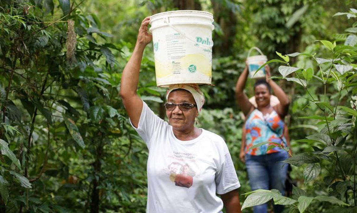 Comunidade quilombola Rio dos Macacos. Foto: Agência Brasil